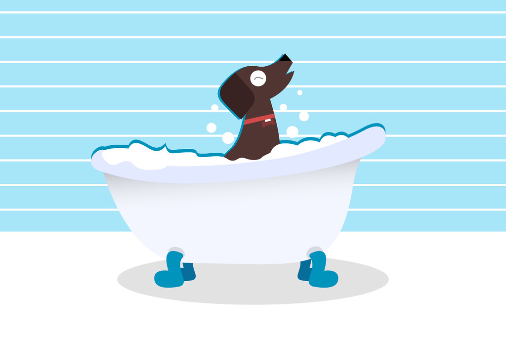 Pet Grooming