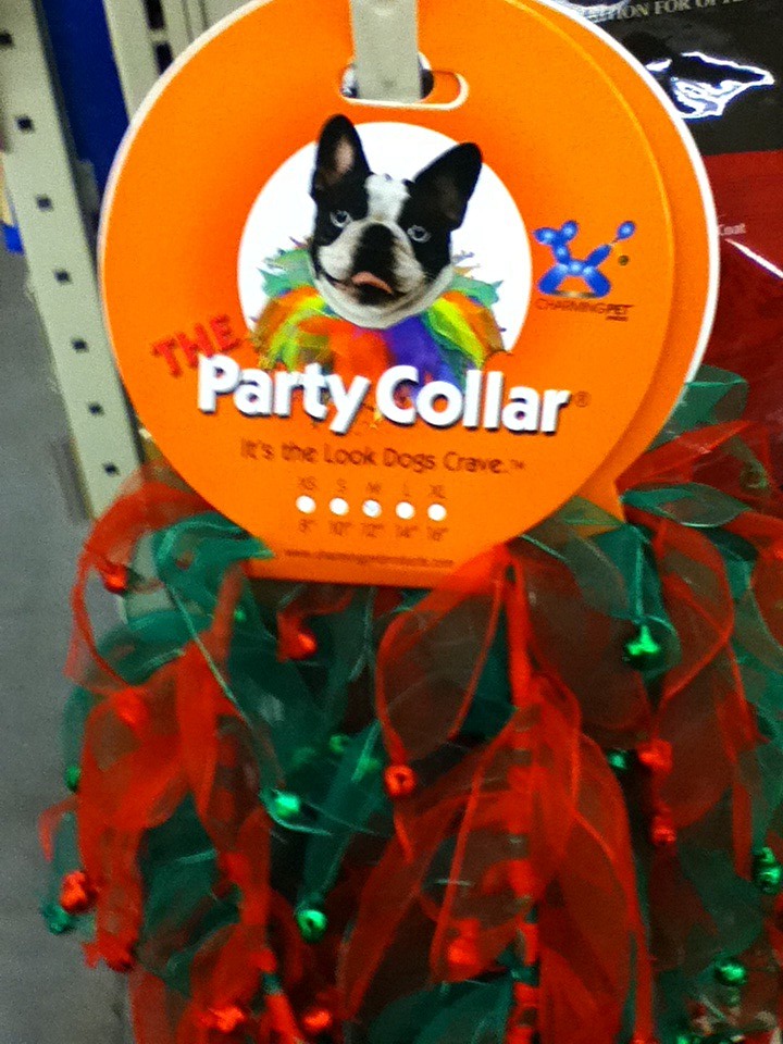 Pet Toys
