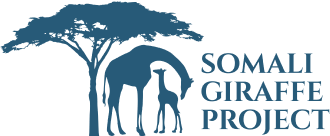 Save Giraffes Now